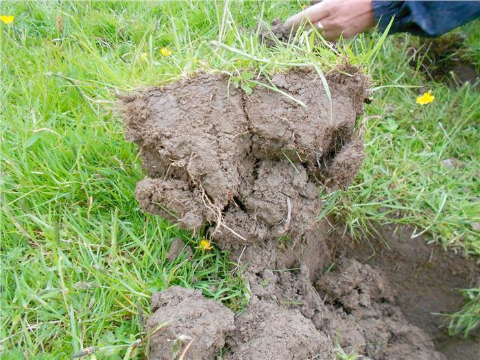 Understanding Soil