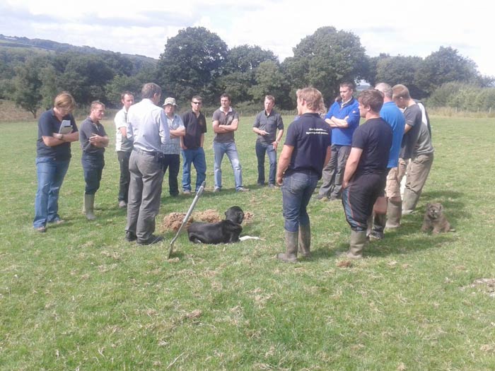 Beef and Sheep Grazing